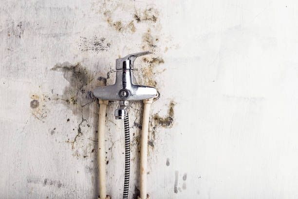 Best Post-Remediation Services in Hartford, WI